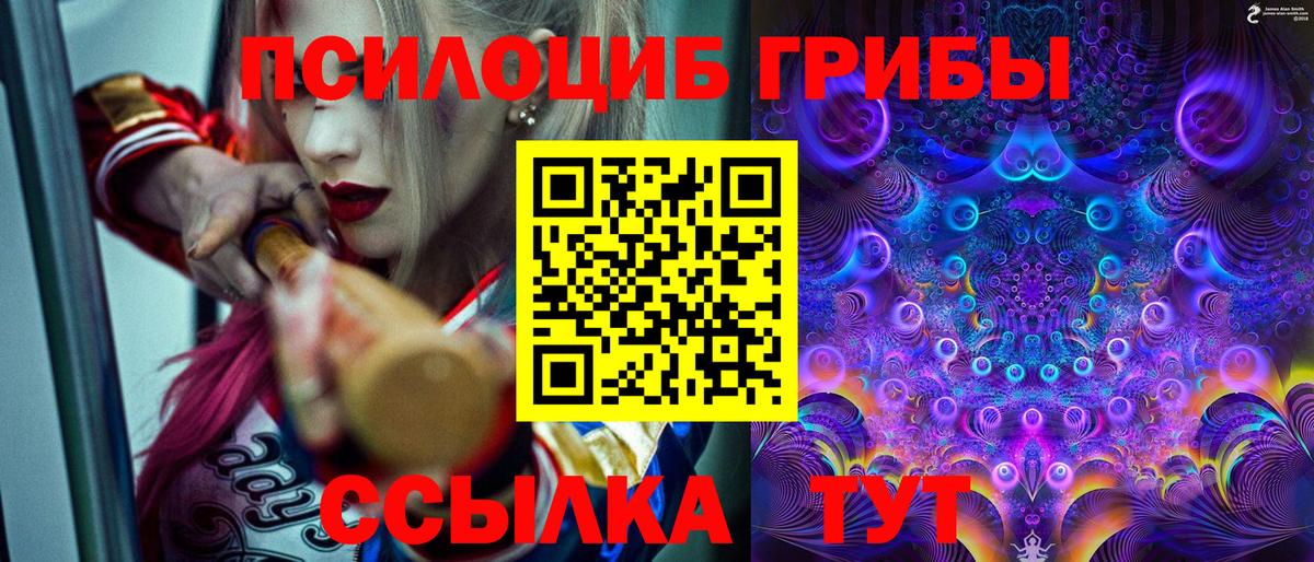 Галлюциногенные грибы прущие грибы  даркнет сайт  Ивантеевка  Вход с VPN  Галлюциногенные грибы мухоморы 